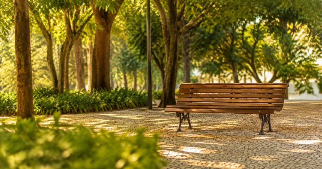Banco de madeira vazio em praca arborizada sob luz suave do fim da tarde